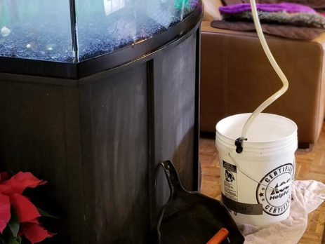 10,000 Uses: Fishi Leaks