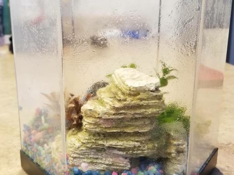 10,000 Uses: Something Fishy