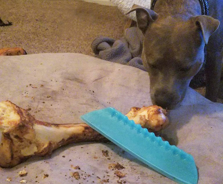 10,000 Uses for Water Blades: Puppy Palooza.